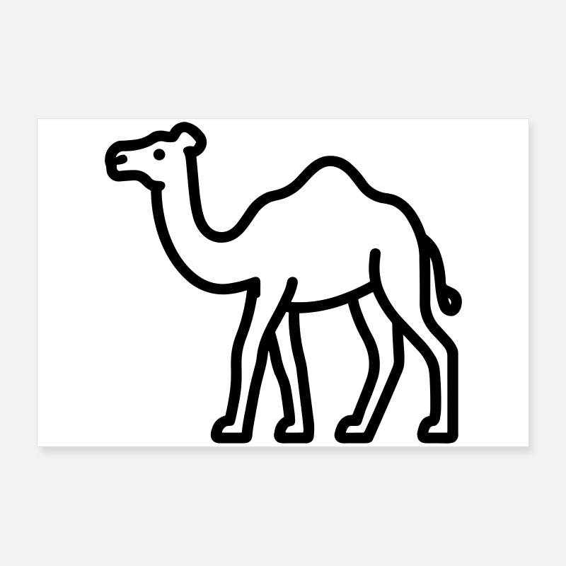 Kamel Poster 90x60 cm