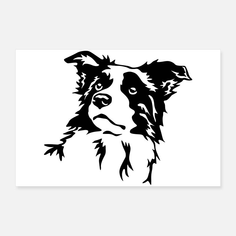 Border Collie Kopf Poster 90x60 cm
