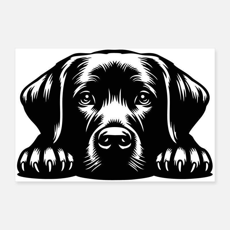 Labrador Kopf mit Pfoten - Poster 90x60 cm - Weiß