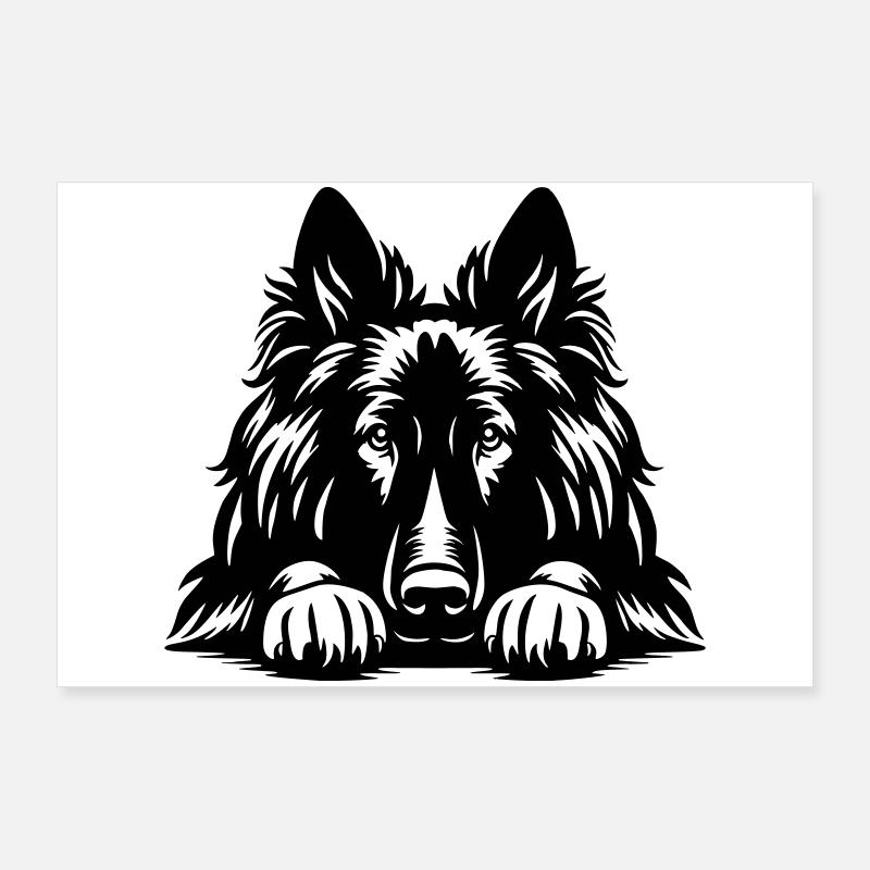 Tête de Tervueren avec pattes Poster 90 x 60 cm
