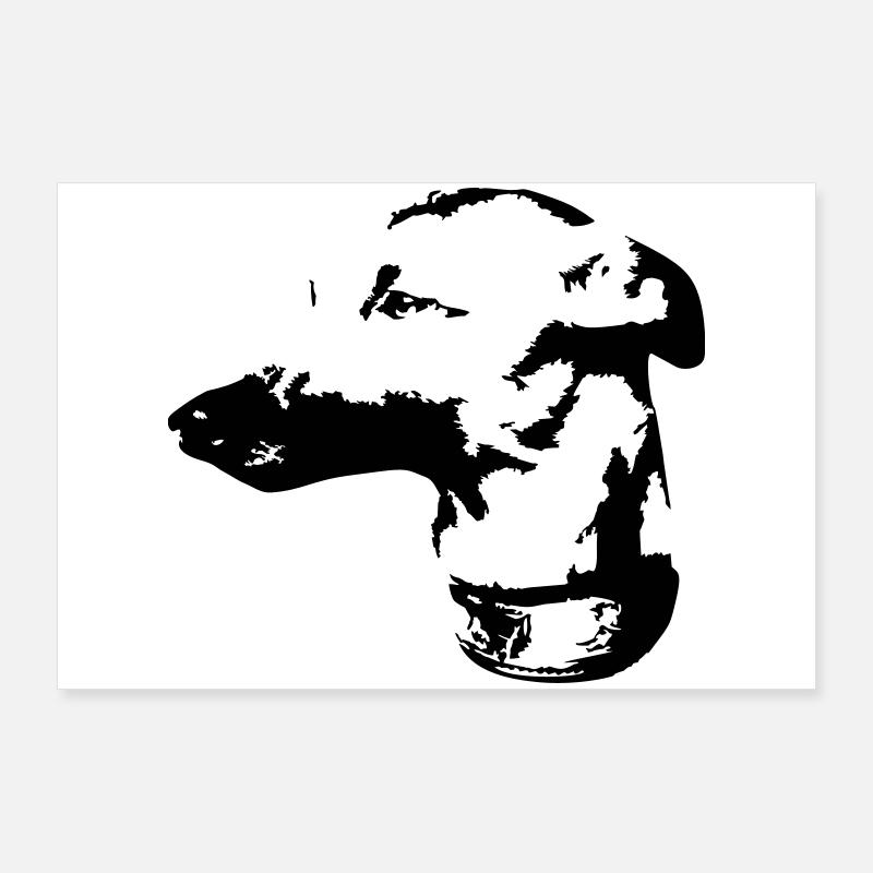 Whippet head Poster 36" x 24" (90x60 cm)
