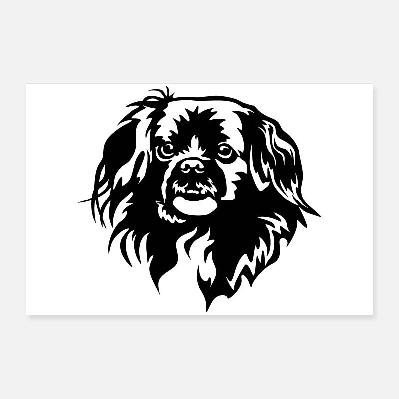 Tibetan Spaniel Head Poster 36" x 24" (90x60 cm)