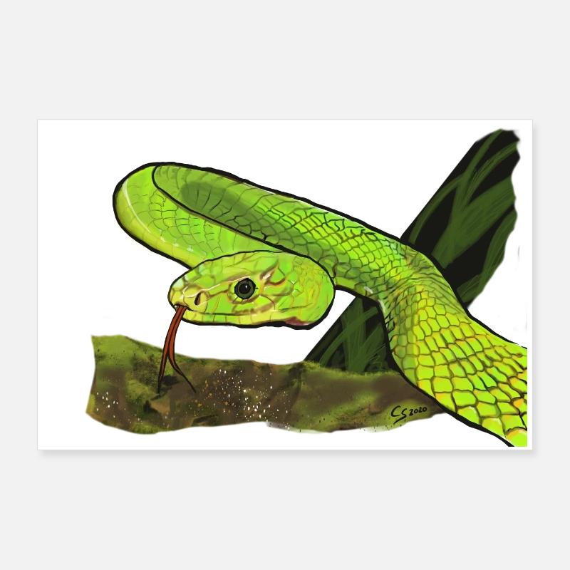 Serpent vert brillant dans la jungle Poster 90 x 60 cm