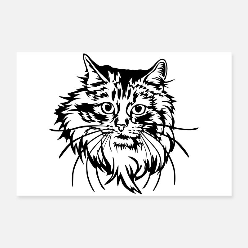 Chat des forêts norvégiennes Poster 90 x 60 cm