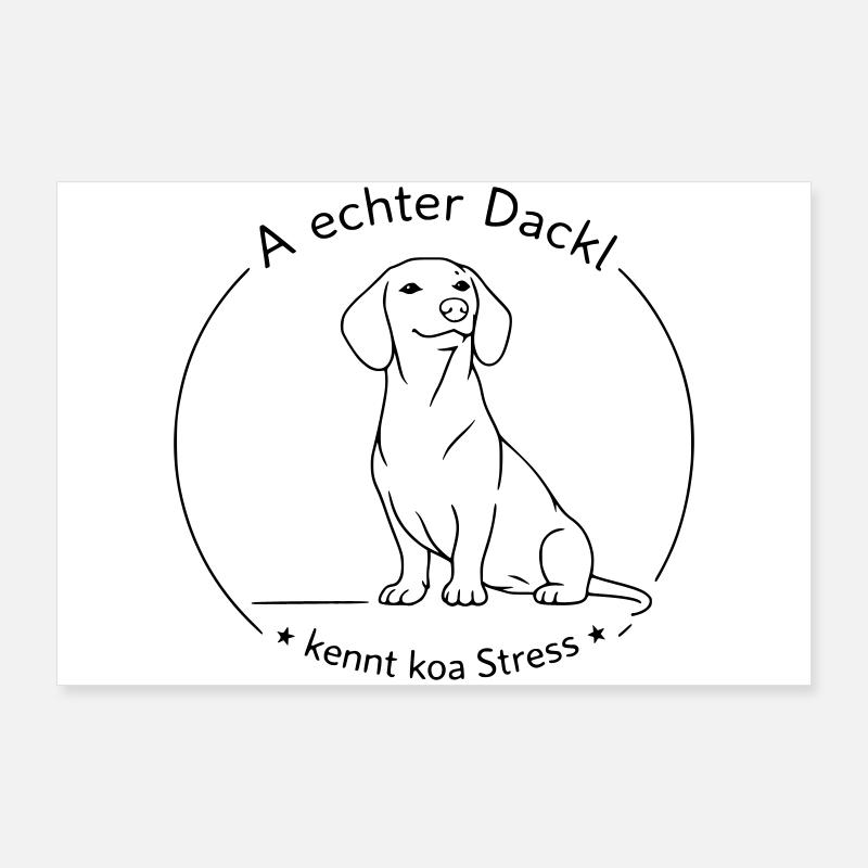 dackel kennt koa stress Poster 90x60 cm