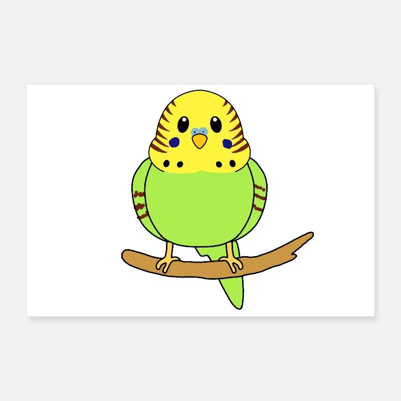 Perruche ondulée Poster 90 x 60 cm