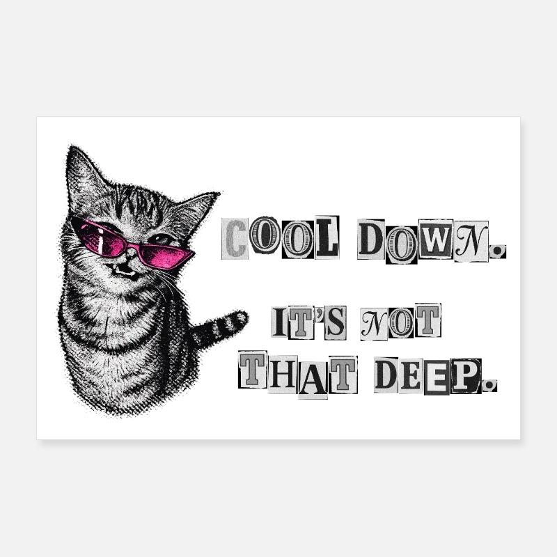 Cool Down – It’s Not That Deep Katzen Meme Poster 90x60 cm