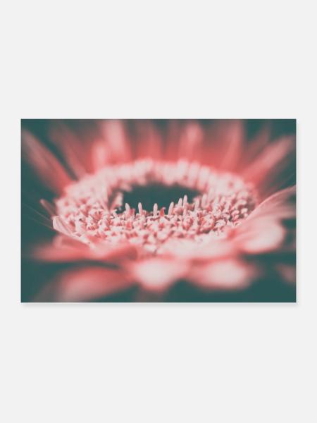 Retro Flowers - Poster 90x60 cm - Weiß