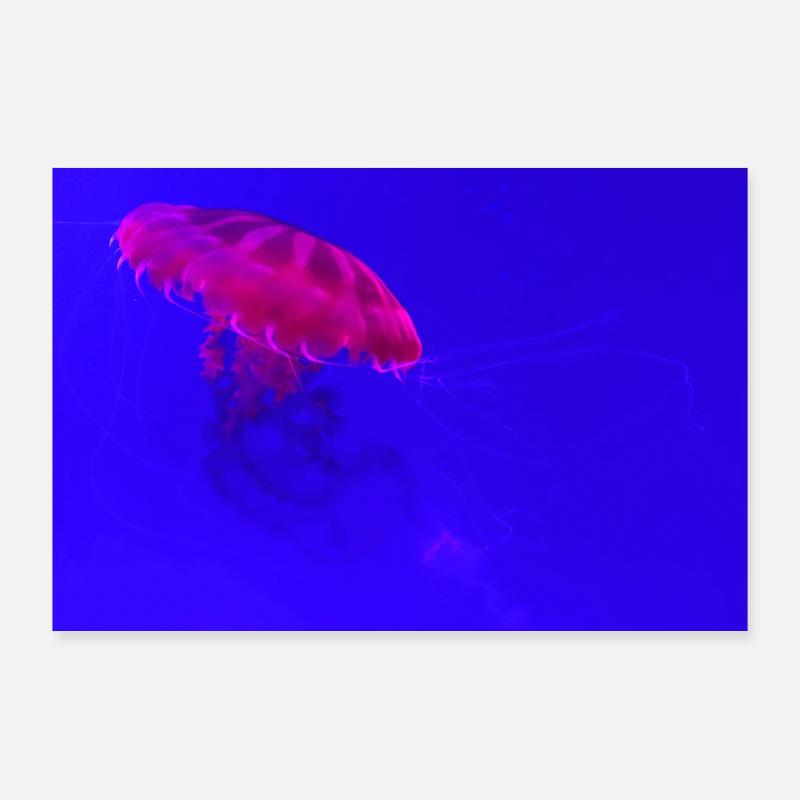 jellyfish Poster 36" x 24" (90x60 cm)