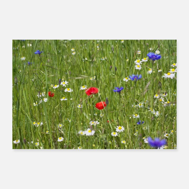 prairie fleur Poster 90 x 60 cm