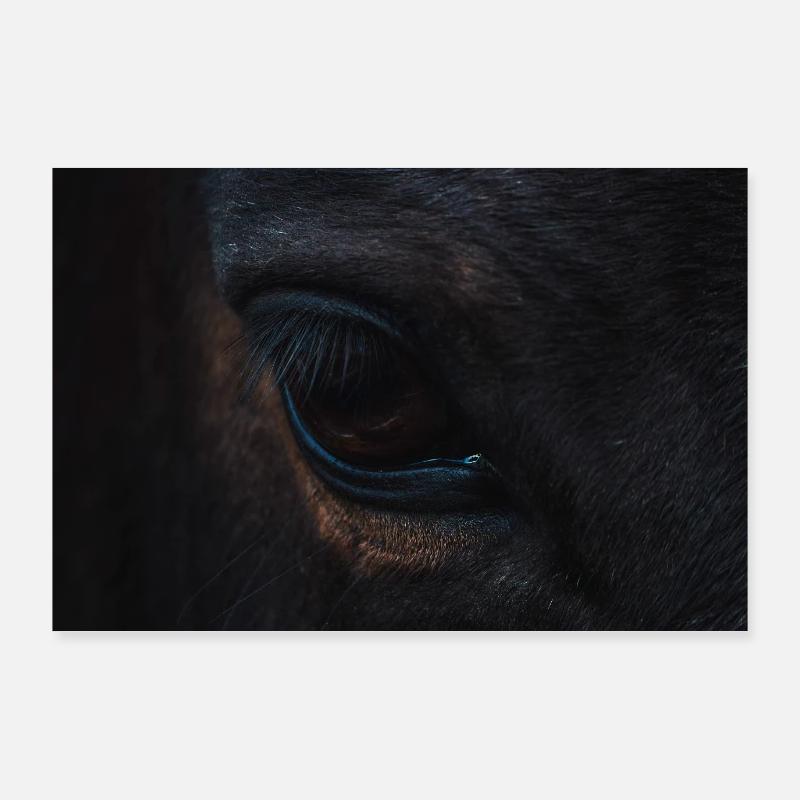 oeil de cheval noir Poster 90 x 60 cm