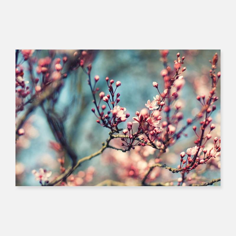 fleurs de printemps - Poster 90 x 60 cm - blanc