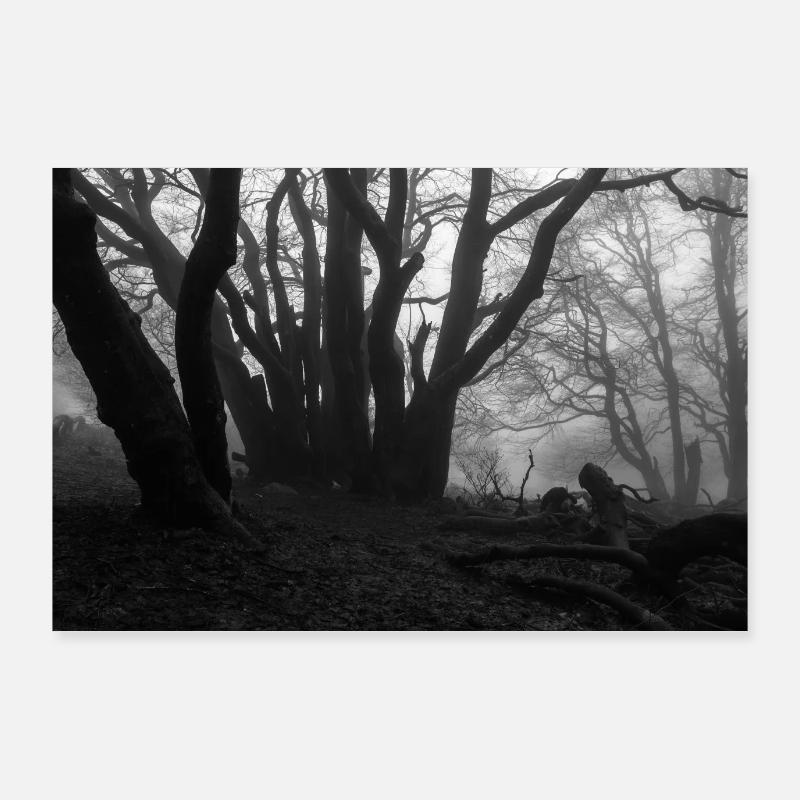 Foresta 8 Poster 90x60 cm