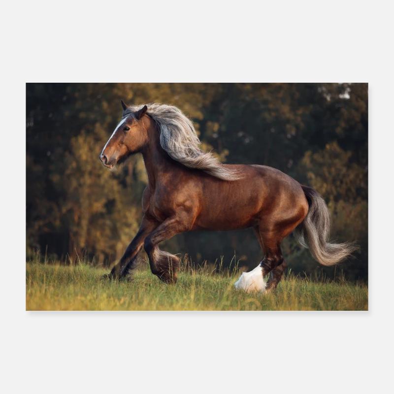 Cheval galopant dans le paddock d'automne - Poster 90 x 60 cm - blanc