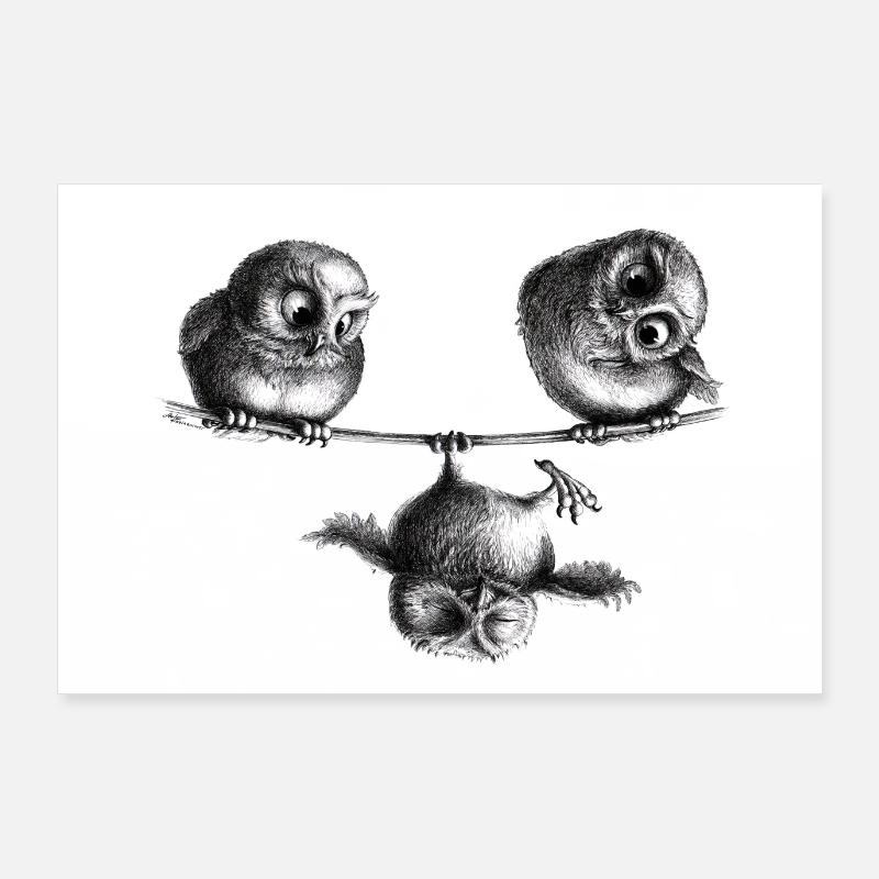 Three owls - freedom and fun Poster 36" x 24" (90x60 cm)