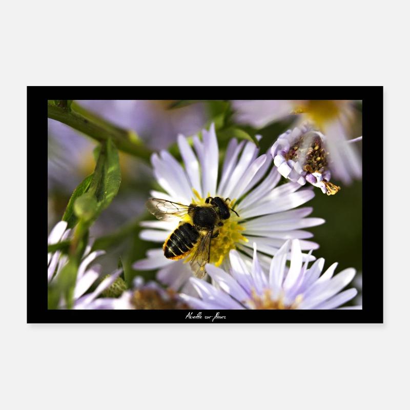 Biene auf Blumen Poster 90x60 cm