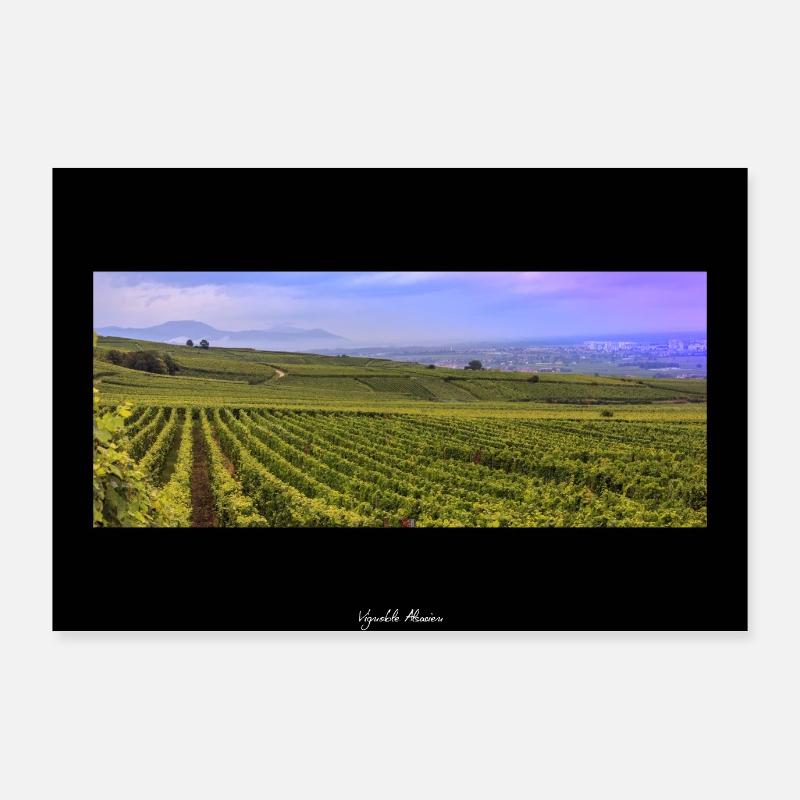 Vignoble Alsacien Poster 90 x 60 cm
