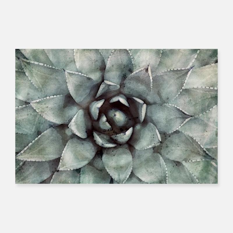 Succulentes Poster 90 x 60 cm