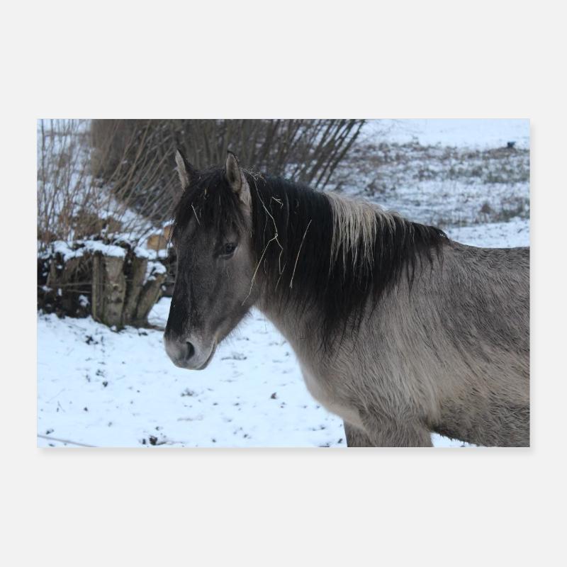 Affiche Cheval Cheval - Poster 90 x 60 cm - blanc