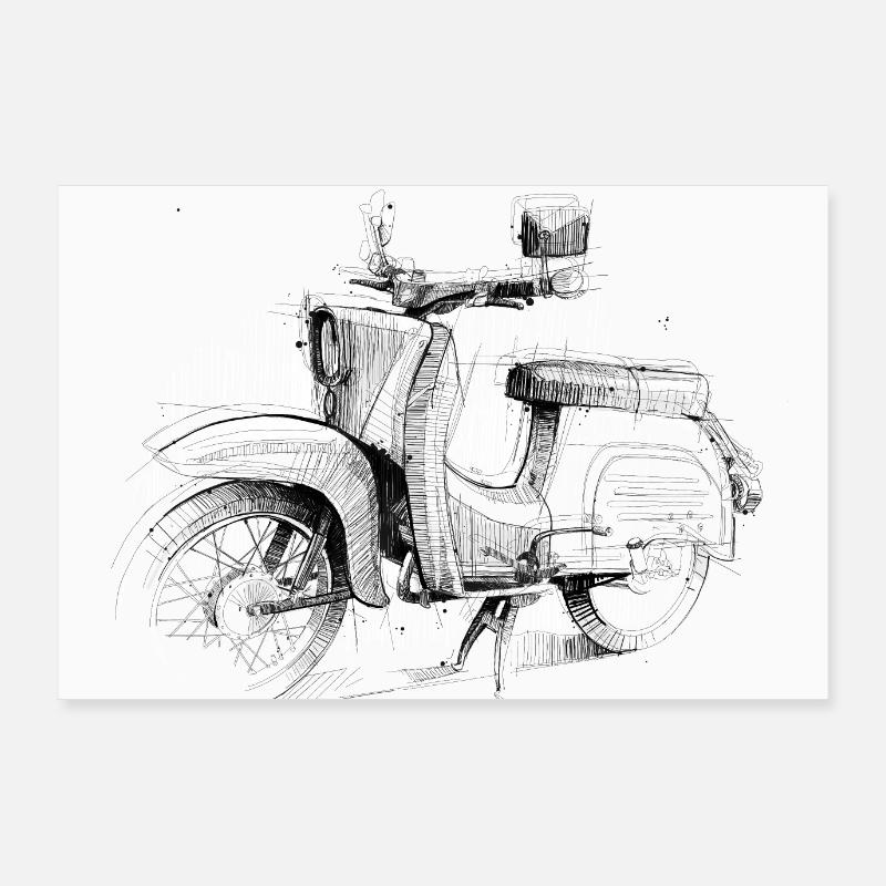 Hirondelle imprimée Poster 90 x 60 cm