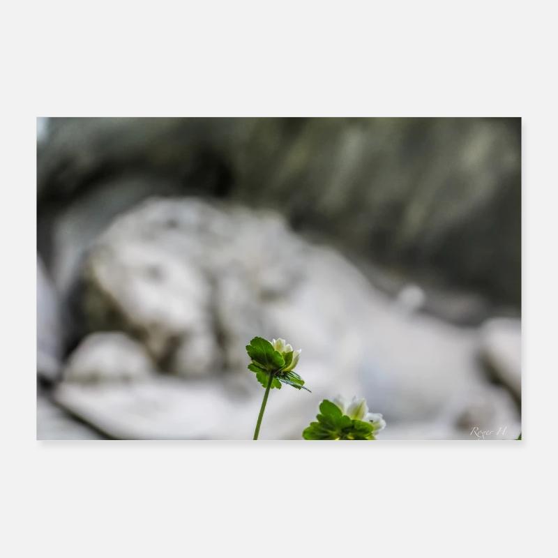 Lion Monument Poster 90 x 60 cm