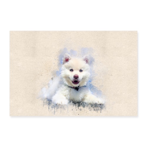 Husky sibérien Blanc peinture aquarelle -by- Wyll- - Poster 90 x 60 cm