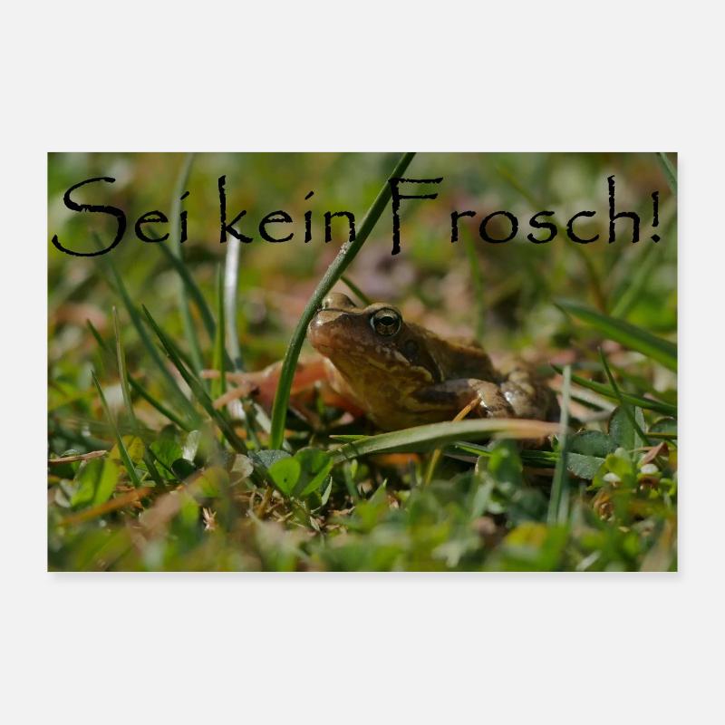 Sei kein Frosch Poster 90x60 cm