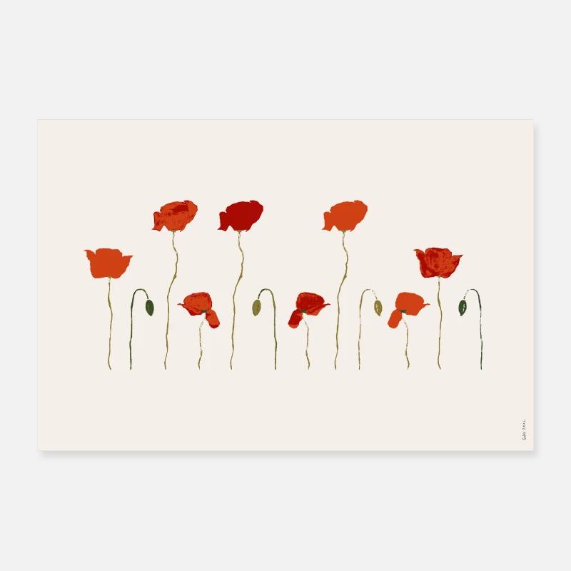 Mohn Klatschmohn Poster - Poster 90x60 cm - Weiß