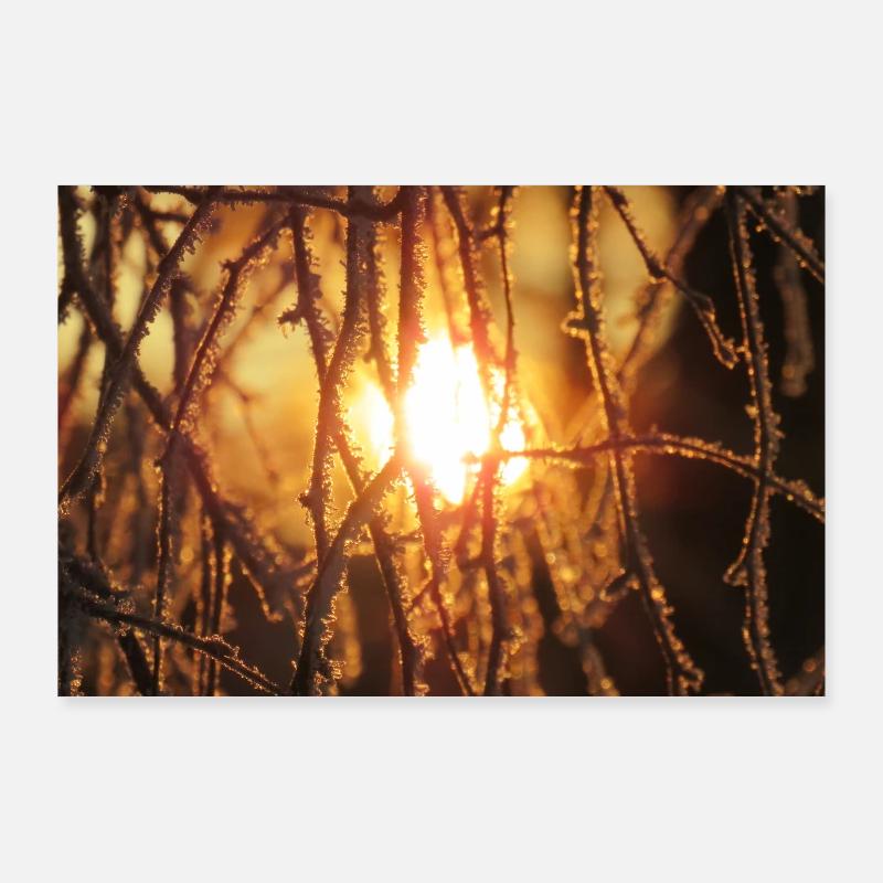 Frost Poster 90x60 cm
