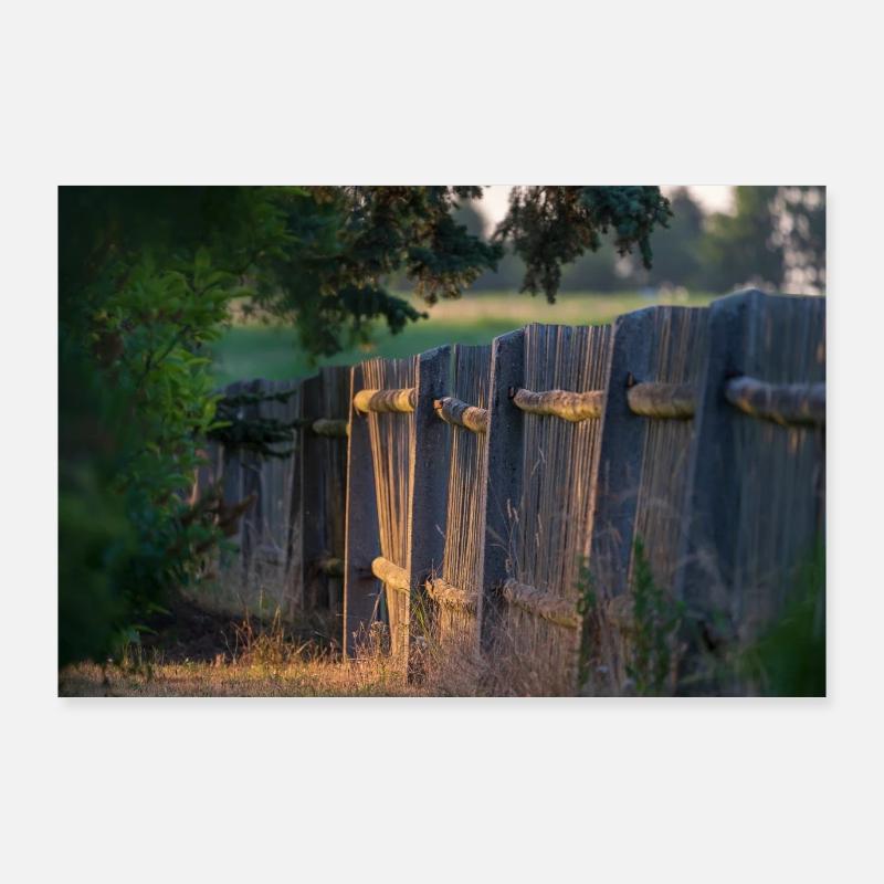 Sommerabend Poster 90x60 cm