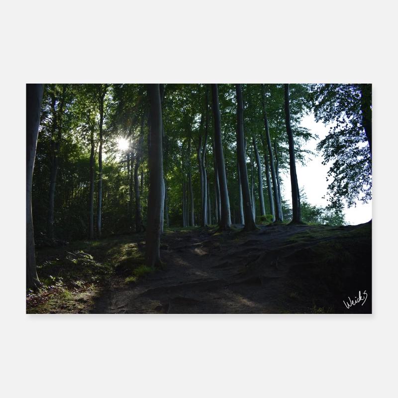Murmures de la forêt Poster 90 x 60 cm