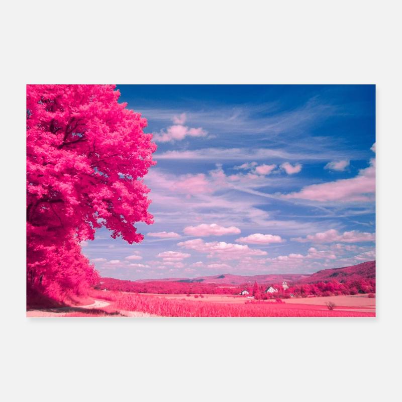 Infrarot-Serie: Pinker Sommer Poster 90x60 cm