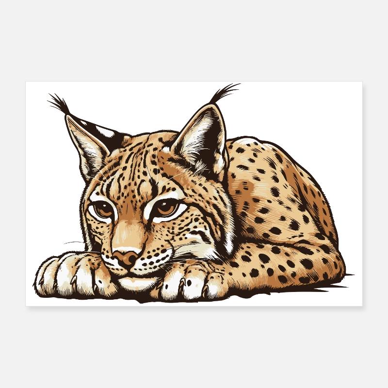 Luchs - Poster 90x60 cm - Weiß
