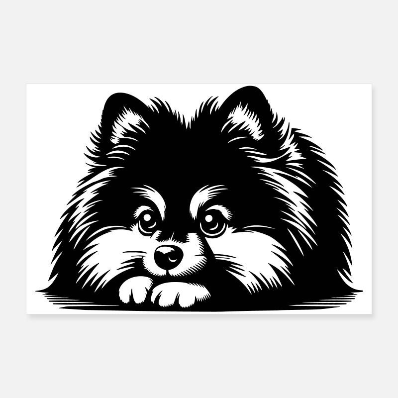 Pomeranian Head with Paws Poster 36" x 24" (90x60 cm)