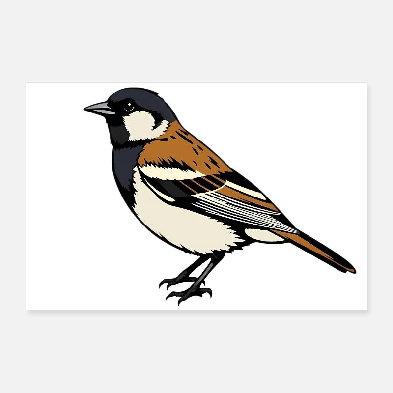 Sperling Vogel Poster 90x60 cm