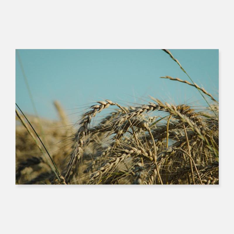 The Weizenfelde Poster 36" x 24" (90x60 cm)