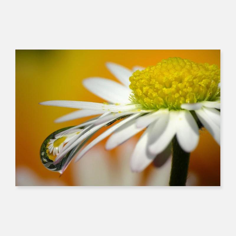 gouttes d'eau Poster 90 x 60 cm