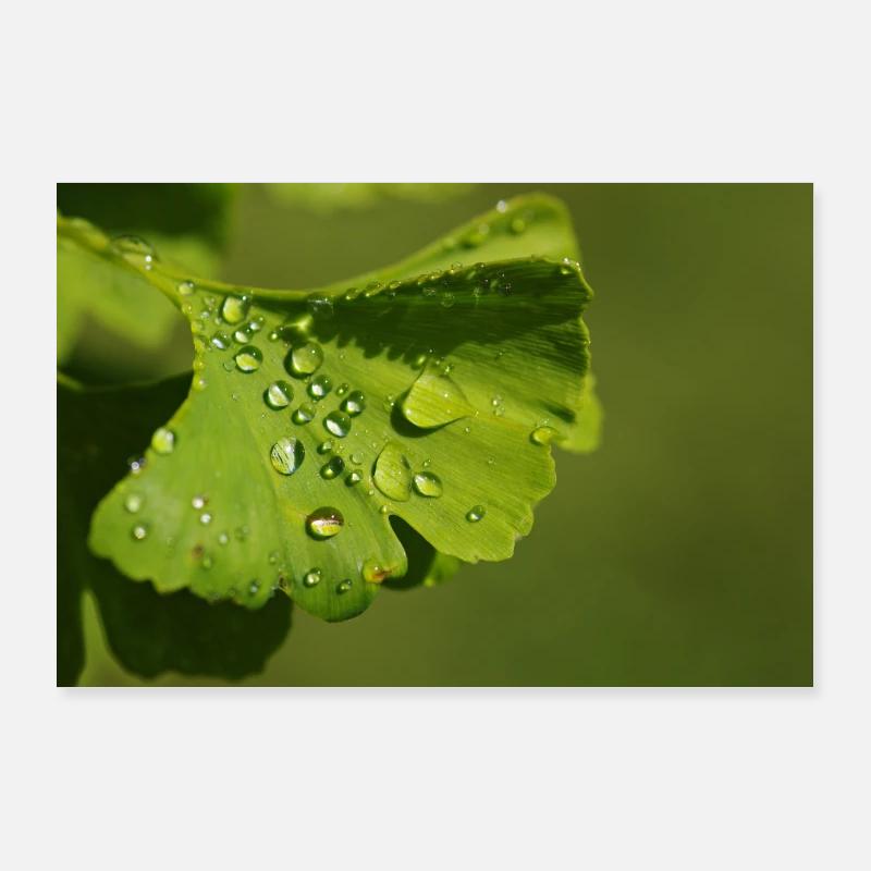gouttes d'eau Poster 90 x 60 cm