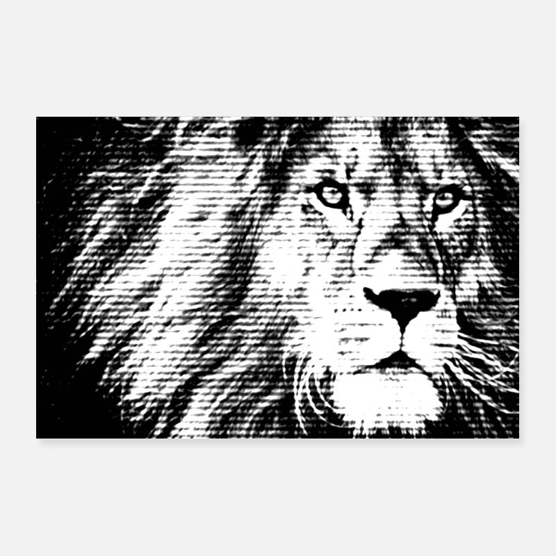 Löwe schwarz weiß Poster 90x60 cm