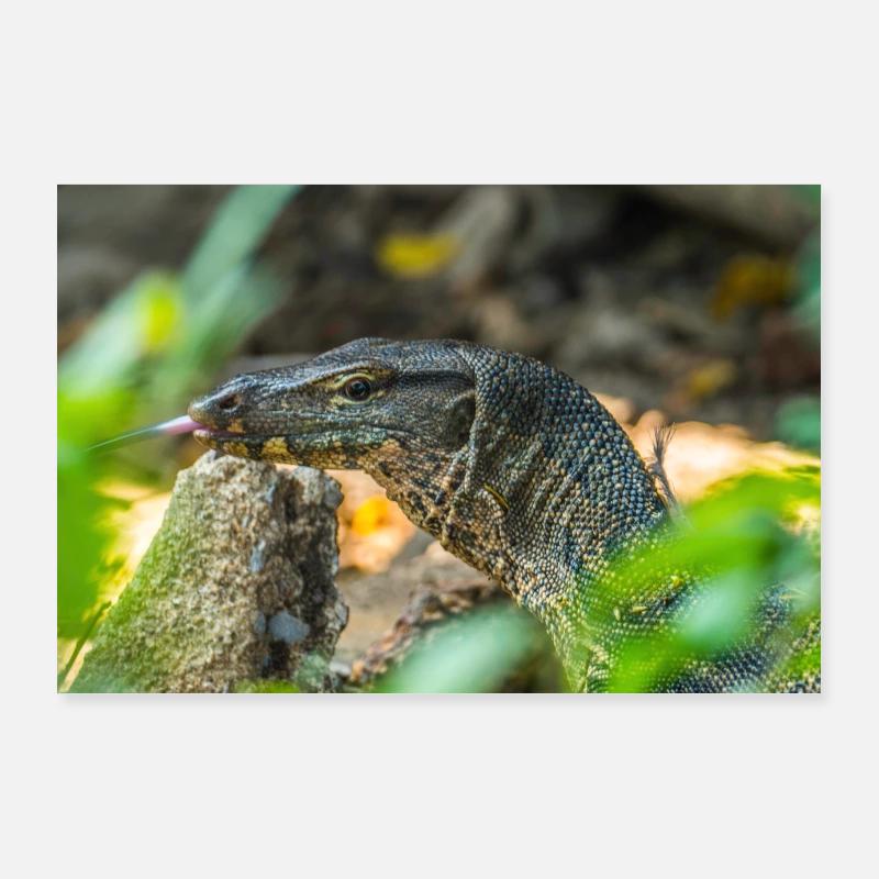 lick Poster 36" x 24" (90x60 cm)