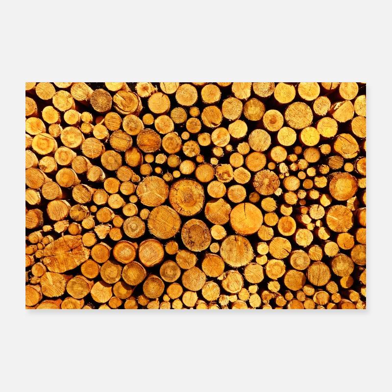 Troncs d'arbres Poster 90 x 60 cm