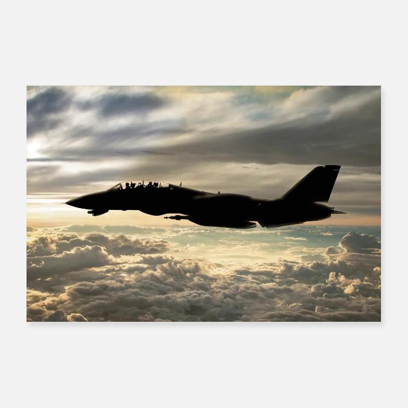 F-14 Poster 90 x 60 cm