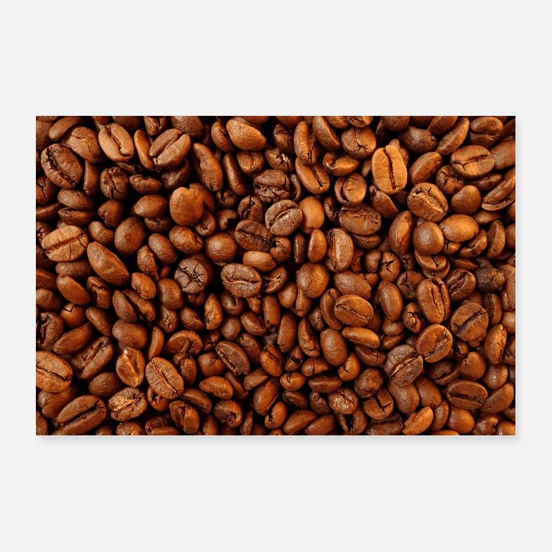 Kaffeebohnen Kaffeebohne Bohnenkaffee Coffee Cafe - Poster 90x60 cm - Weiß