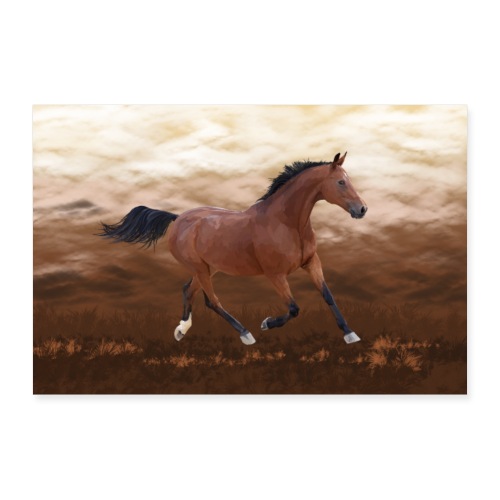 koń - Plakat o wymiarach 90x60 cm