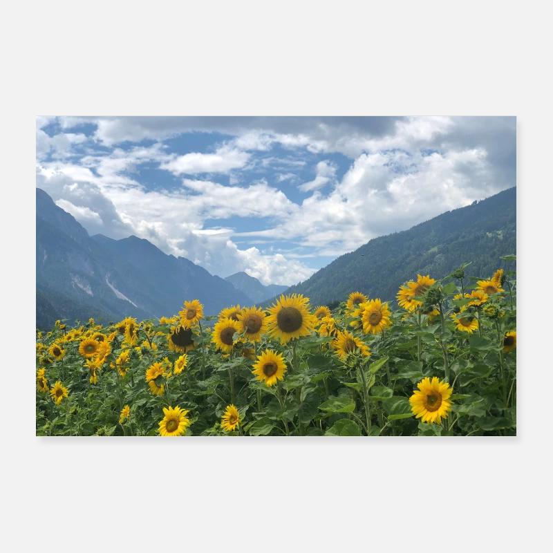Tournesol et montagnes - Poster 90 x 60 cm - blanc