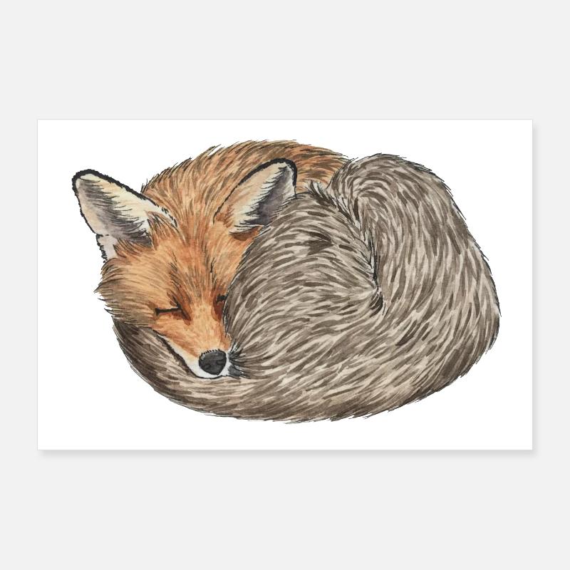 sleeping curled red fox Poster 36" x 24" (90x60 cm)