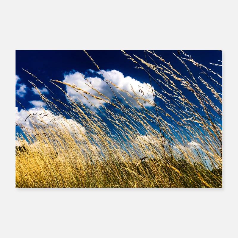 Paysage de campagne Poster 90 x 60 cm