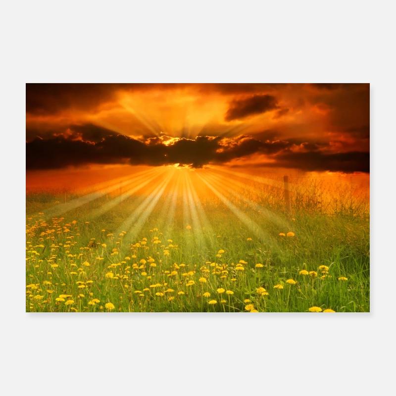 Landschaft Sonnenuntergang Löwenzahn Wiese Natur Poster 90x60 cm