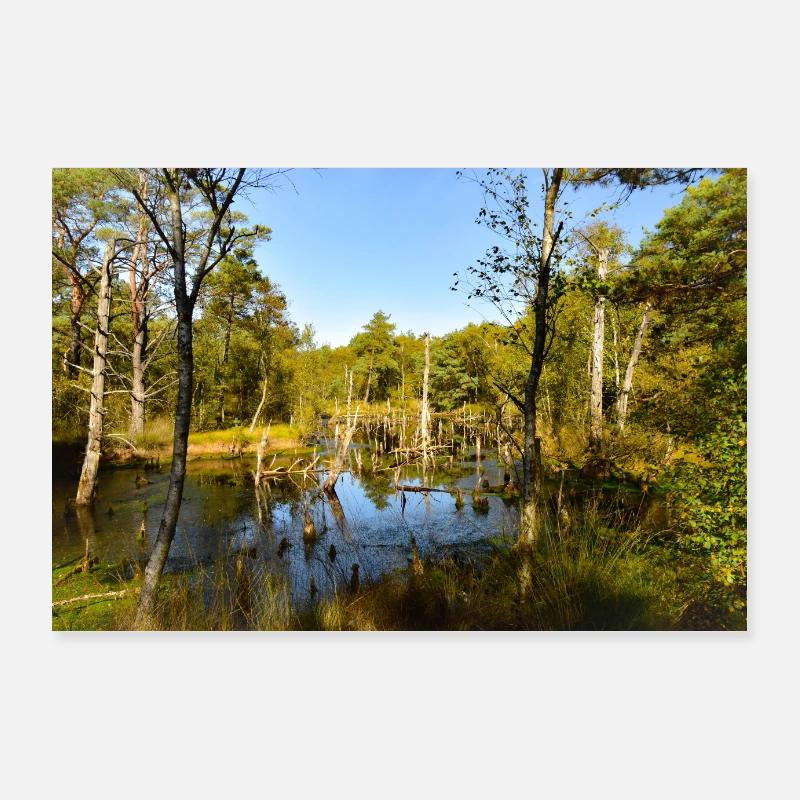 Pietzmoor in der Lüneburger Heide bei Schneverding Poster 90x60 cm