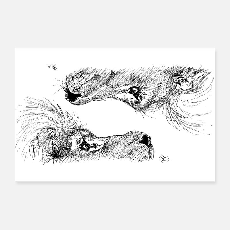 Doppellöwe Poster 90x60 cm